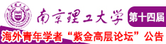 操比视频91南京理工大学第十四届海外青年学者紫金论坛诚邀海内外英才！